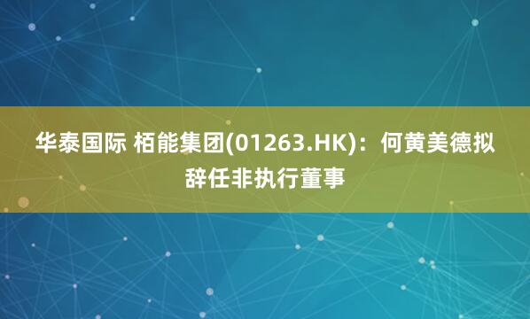 华泰国际 栢能集团(01263.HK)：何黄美德拟辞任非执行董事