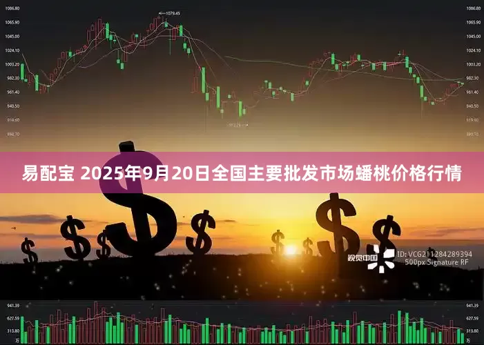 易配宝 2025年9月20日全国主要批发市场蟠桃价格行情
