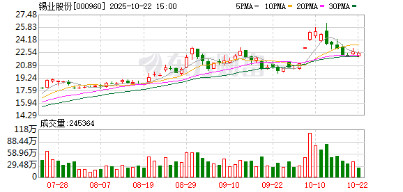 深富优配 锡业股份：第九届董事会2025年第三次临时会议决议公告
